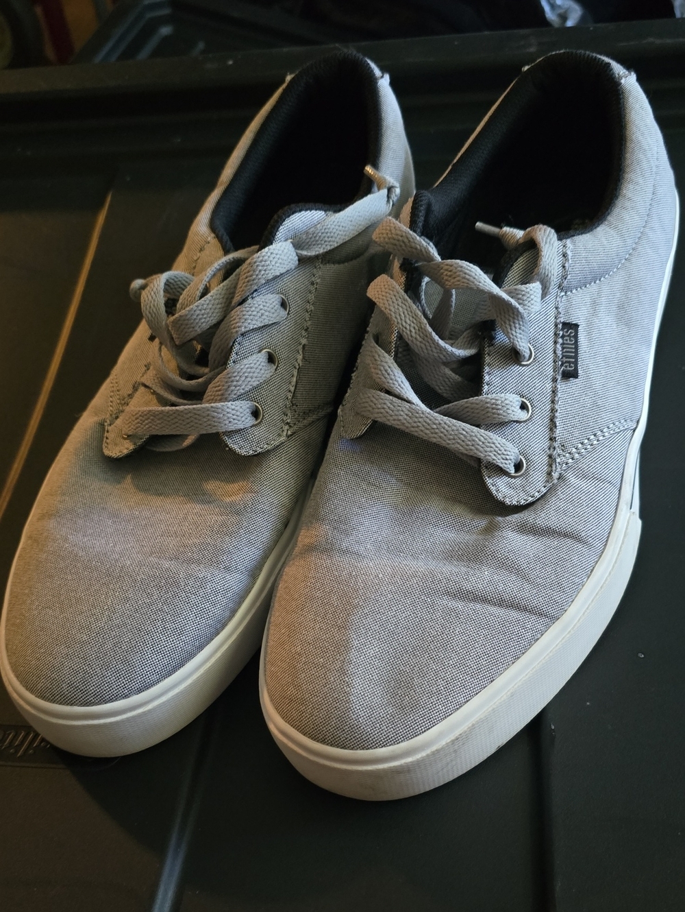 Etnies Light Gray Canvas Sneakers